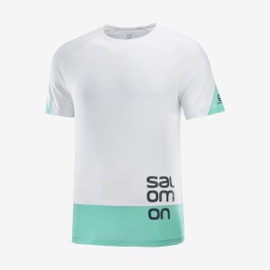 Camiseta Salomon CROSS RUN GRAPHIC Hombre Blancas | UY 3223BEX