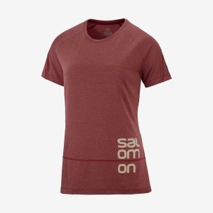 Camiseta Salomon CROSS RUN GRAPHIC Mujer Rojas | UY 2547BEX