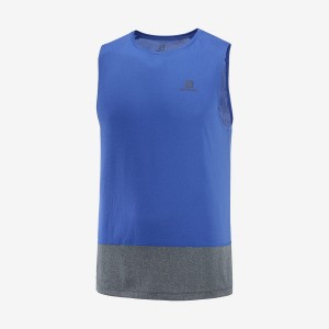 Camiseta Salomon CROSS RUN Hombre Azules | UY 3232UZG