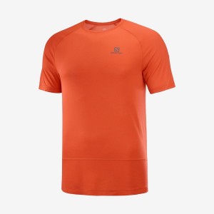 Camiseta Salomon CROSS RUN Hombre Naranjas | UY 3231YXF