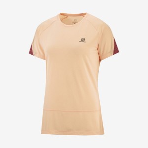 Camiseta Salomon CROSS RUN Mujer Beige | UY 2544XYU