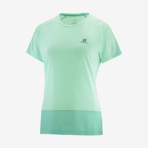 Camiseta Salomon CROSS RUN Mujer Verde | UY 2541KOR