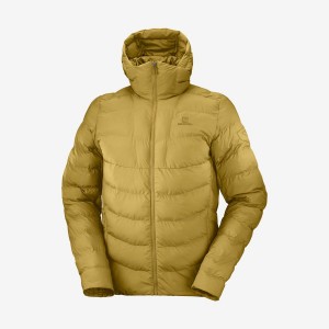 Camperas Salomon ESSENTIAL XWARM INSULATED Hombre Amarillo | UY 3313JPQ