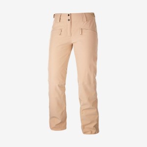 Pantalon Esquí Salomon EDGE Mujer Rosas | UY 2325EBC