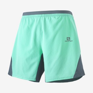 Short Salomon CROSS 7'' NO LINER Hombre Verde Menta | UY 3173MQZ