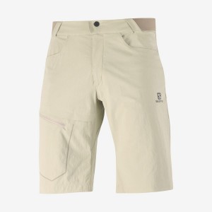 Short Salomon WAYFARER Hombre Beige | UY 3147NWY