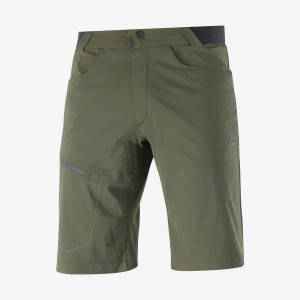 Short Salomon WAYFARER Hombre Verde Oliva | UY 3149QMA