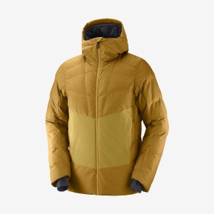 Ski Jackets Salomon SNOWSHELTER Hombre Marrones | UY 3338OKI