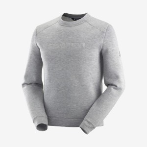 Sudadera con Capucha Salomon ESSENTIAL WARM Hombre Gris | UY 3219ZUT