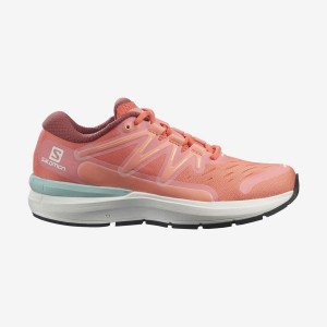 Zapatillas Running Salomon SONIC 4 Confidence Mujer Rosas | UY 2725LIS