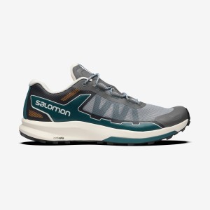 Zapatillas Salomon ULTRA RAID Mujer Gris | UY 2630WNB