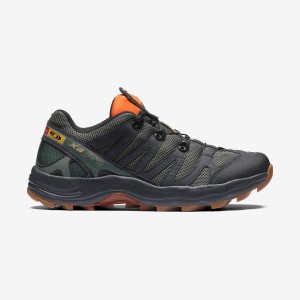 Zapatillas Salomon XA PRO 1 Hombre Gris | UY 3420DFM