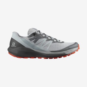 Zapatillas Trail Running Salomon SENSE RIDE 4 Hombre Beige Gris | UY 3490TCE