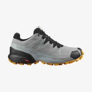 Zapatillas Trail Running Salomon SPEEDCROSS 5 GORE-TEX Hombre Negras Gris | UY 3509VRW