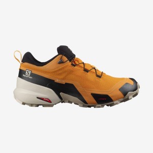 Zapatillas de Senderismo Salomon CROSS HIKE GORE-TEX Hombre Naranjas | UY 3607JPQ