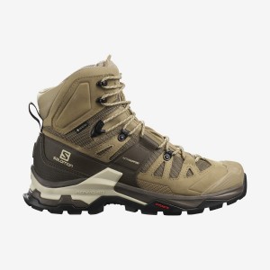 Zapatillas de Senderismo Salomon QUEST 4 GORE-TEX Hombre Marrones | UY 3564MQZ