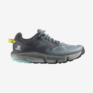 Zapatillas de Senderismo Salomon WoPREDICT HIKE GORE-TEX Mujer Plateadas | UY 2789DFM