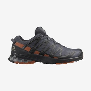 Zapatillas de Senderismo Salomon XA PRO 3D v8 GORE-TEX Hombre Gris | UY 3587BEX