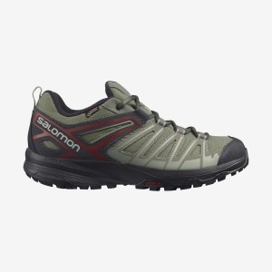 Zapatillas de Senderismo Salomon X CREST GORE-TEX Hombre Verde Oliva | UY 3617QMA