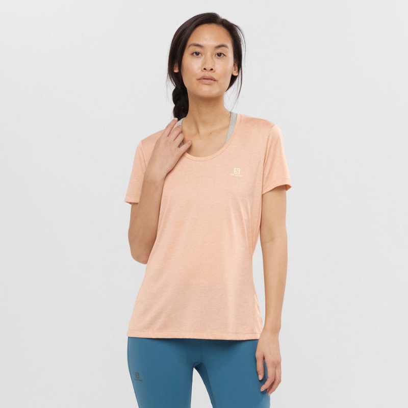 Camiseta Salomon AGILE Mujer Beige | UY 2555YXF