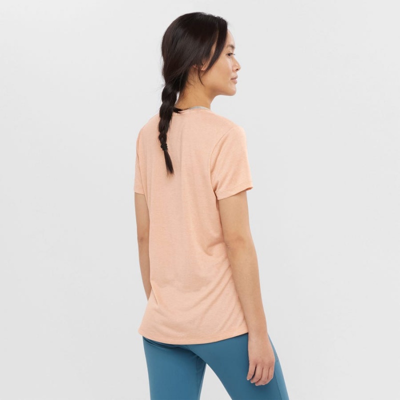 Camiseta Salomon AGILE Mujer Beige | UY 2555YXF