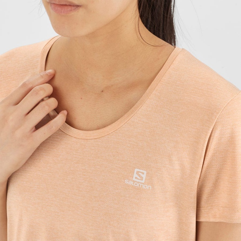 Camiseta Salomon AGILE Mujer Beige | UY 2555YXF