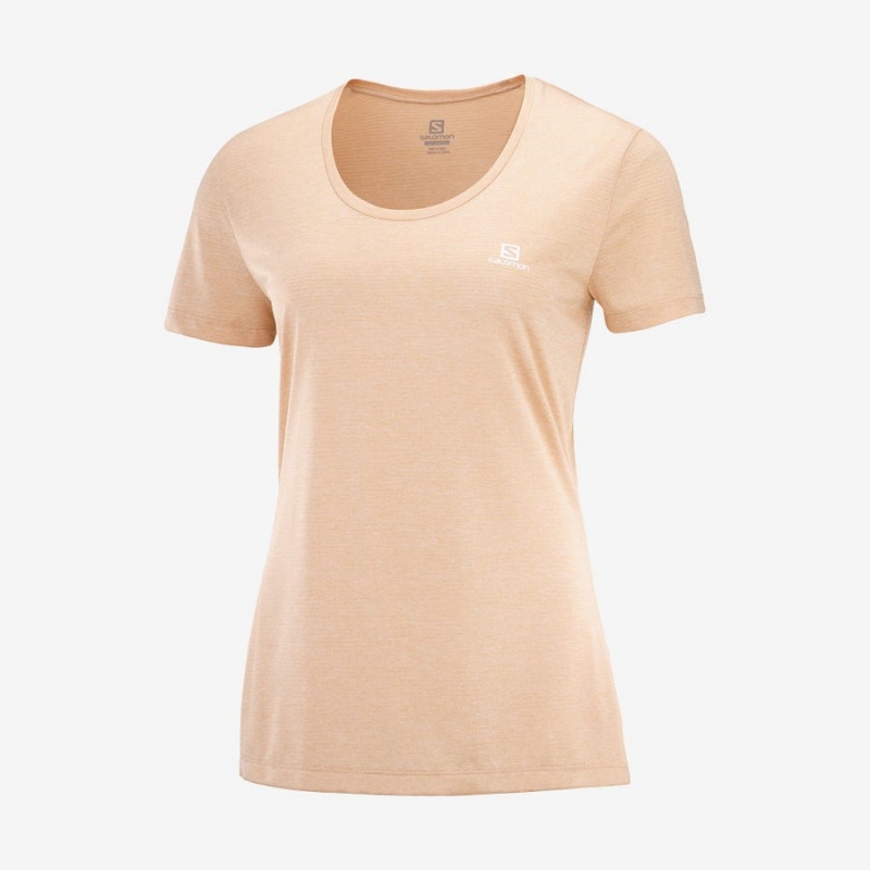 Camiseta Salomon AGILE Mujer Beige | UY 2555YXF