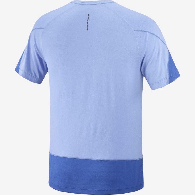 Camiseta Salomon CROSS RUN GRAPHIC Hombre Azules | UY 3226QMA