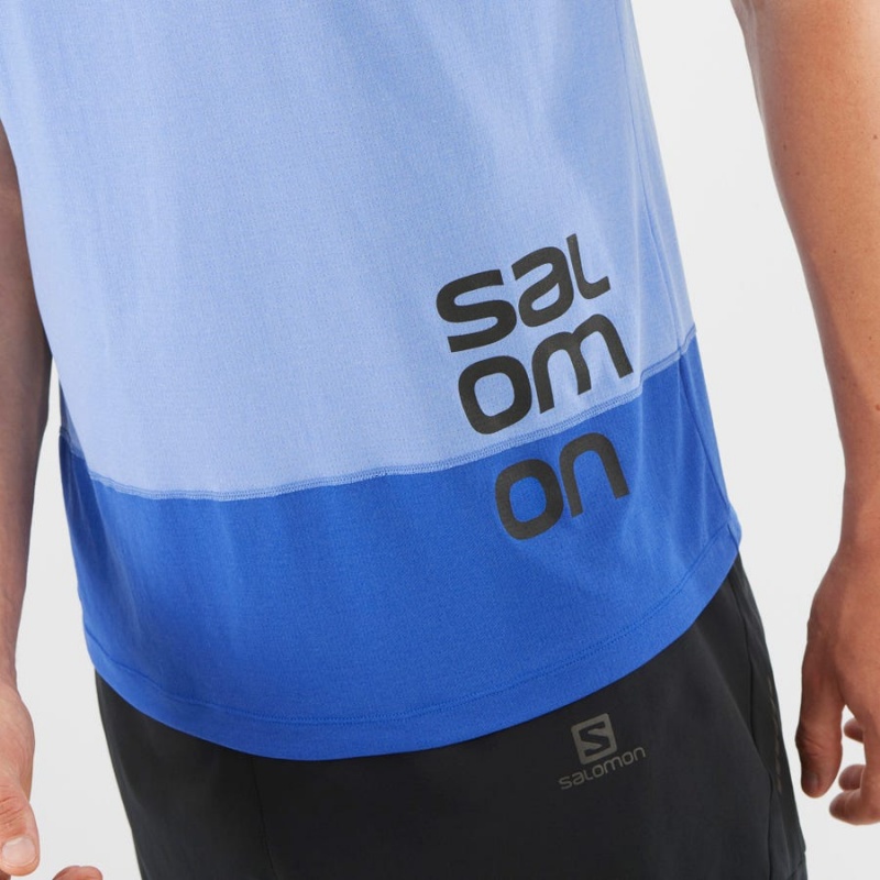 Camiseta Salomon CROSS RUN GRAPHIC Hombre Azules | UY 3226QMA