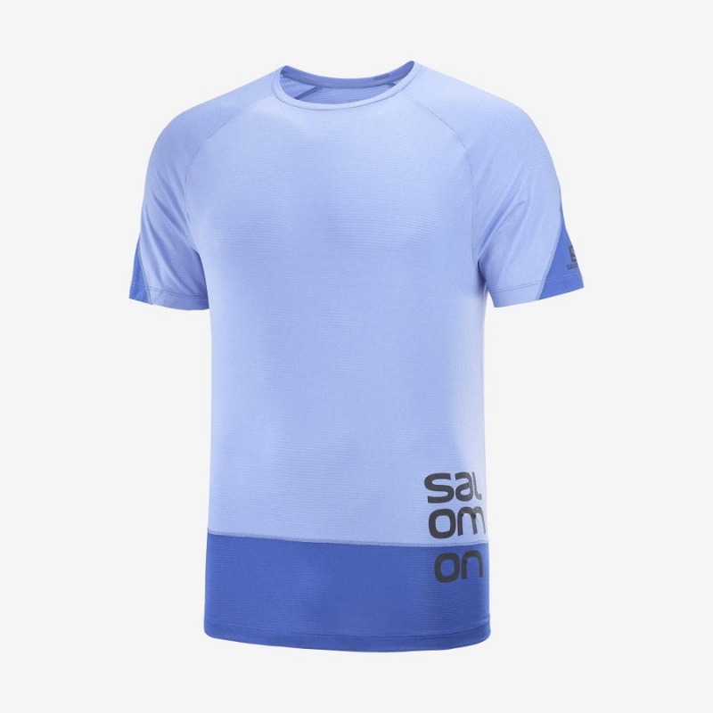 Camiseta Salomon CROSS RUN GRAPHIC Hombre Azules | UY 3226QMA