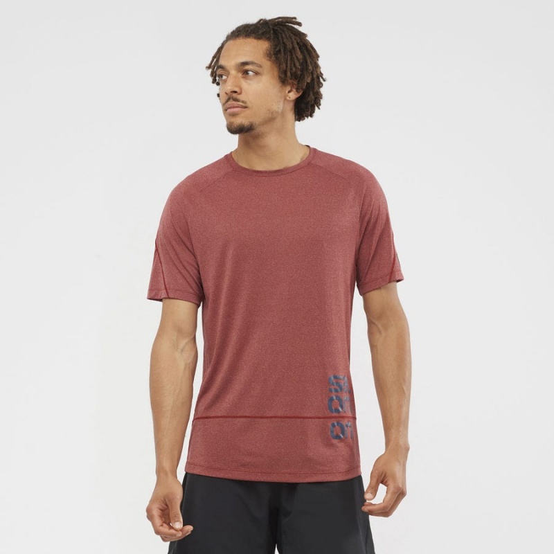 Camiseta Salomon CROSS RUN GRAPHIC Hombre Rojas | UY 3225MQZ