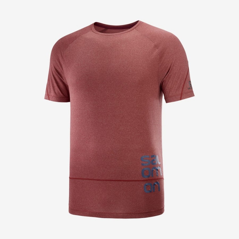 Camiseta Salomon CROSS RUN GRAPHIC Hombre Rojas | UY 3225MQZ