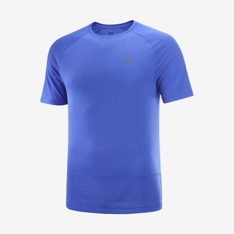 Camiseta Salomon CROSS RUN Hombre Azules | UY 3230TCE