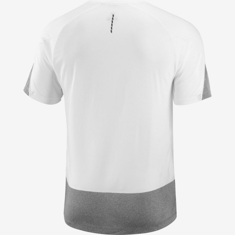 Camiseta Salomon CROSS RUN Hombre Blancas | UY 3228EBC