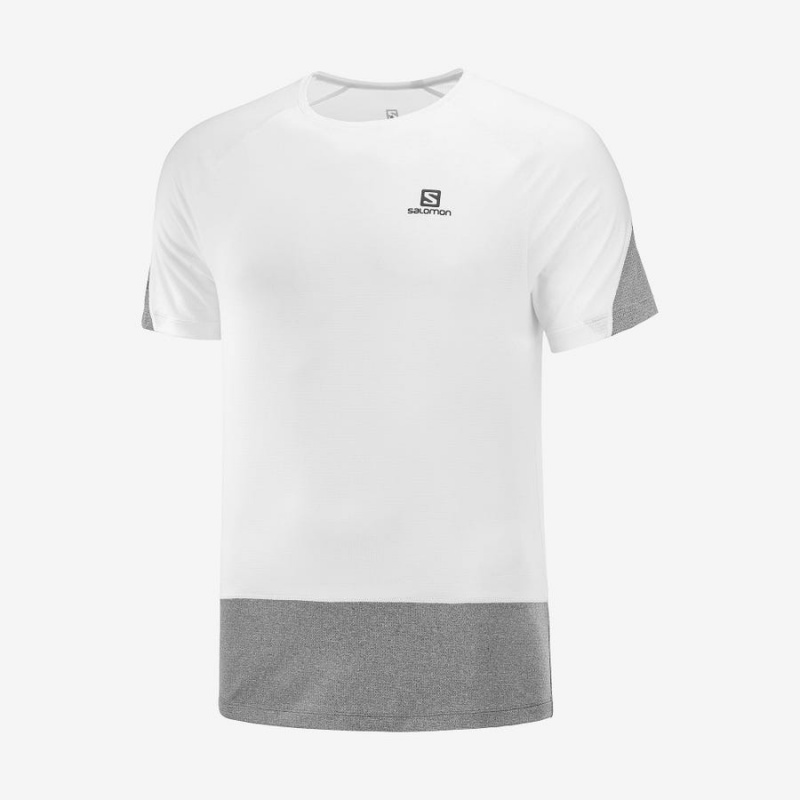 Camiseta Salomon CROSS RUN Hombre Blancas | UY 3228EBC