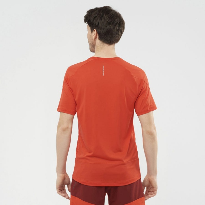 Camiseta Salomon CROSS RUN Hombre Naranjas | UY 3231YXF