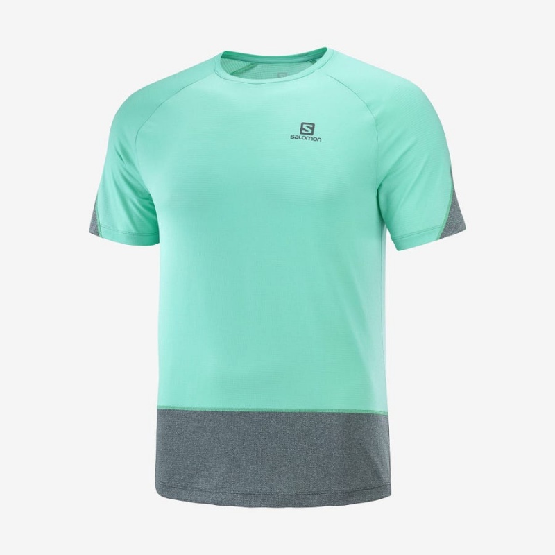 Camiseta Salomon CROSS RUN Hombre Verde Menta | UY 3227WNB