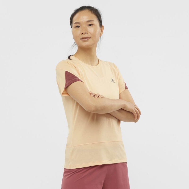 Camiseta Salomon CROSS RUN Mujer Beige | UY 2544XYU