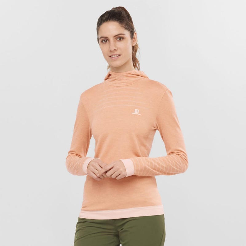 Camiseta Salomon ESSENTIAL WOOL Mujer Beige | UY 2564FDN