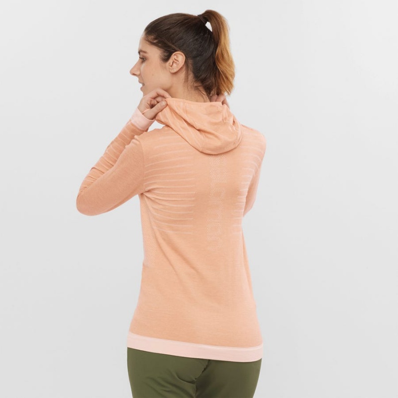 Camiseta Salomon ESSENTIAL WOOL Mujer Beige | UY 2564FDN