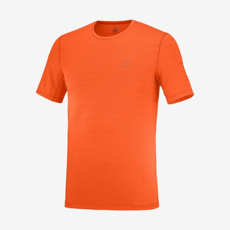 Camiseta Salomon OUTLINE Hombre Naranjas | UY 3251NWY