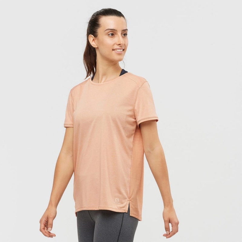 Camiseta Salomon OUTLINE SUMMER Mujer Beige | UY 2554TCE