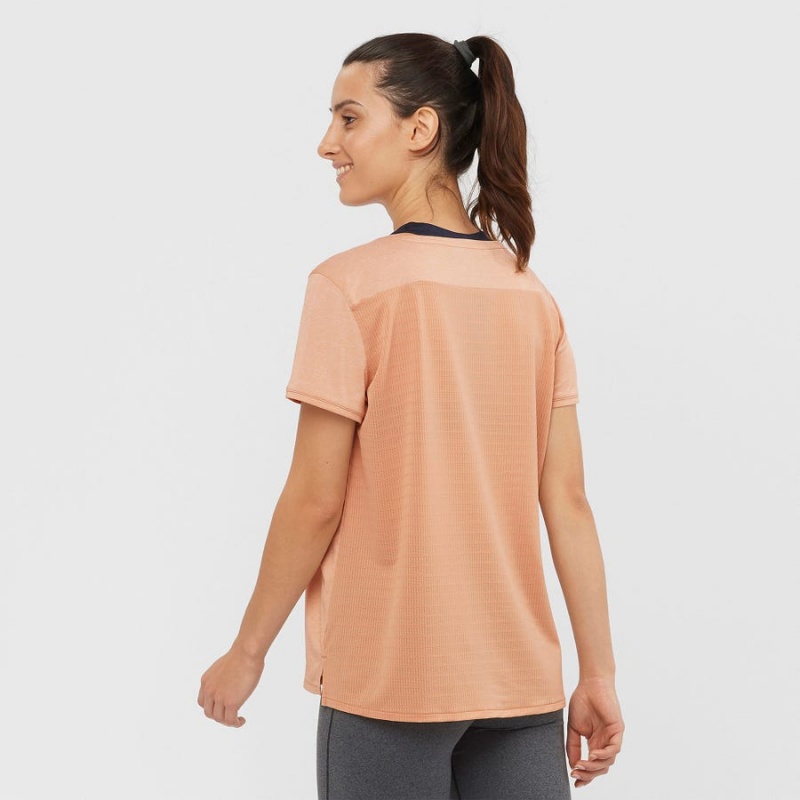 Camiseta Salomon OUTLINE SUMMER Mujer Beige | UY 2554TCE