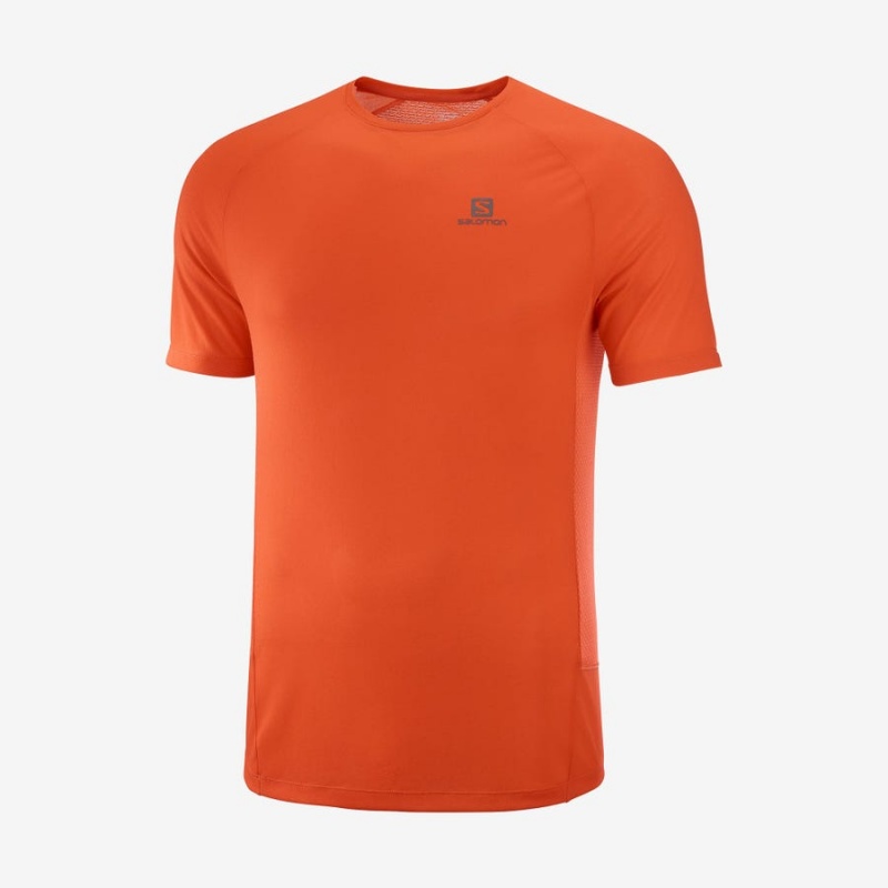 Camiseta Salomon PROMO CROSS REBEL Hombre Naranjas | UY 3239DFM