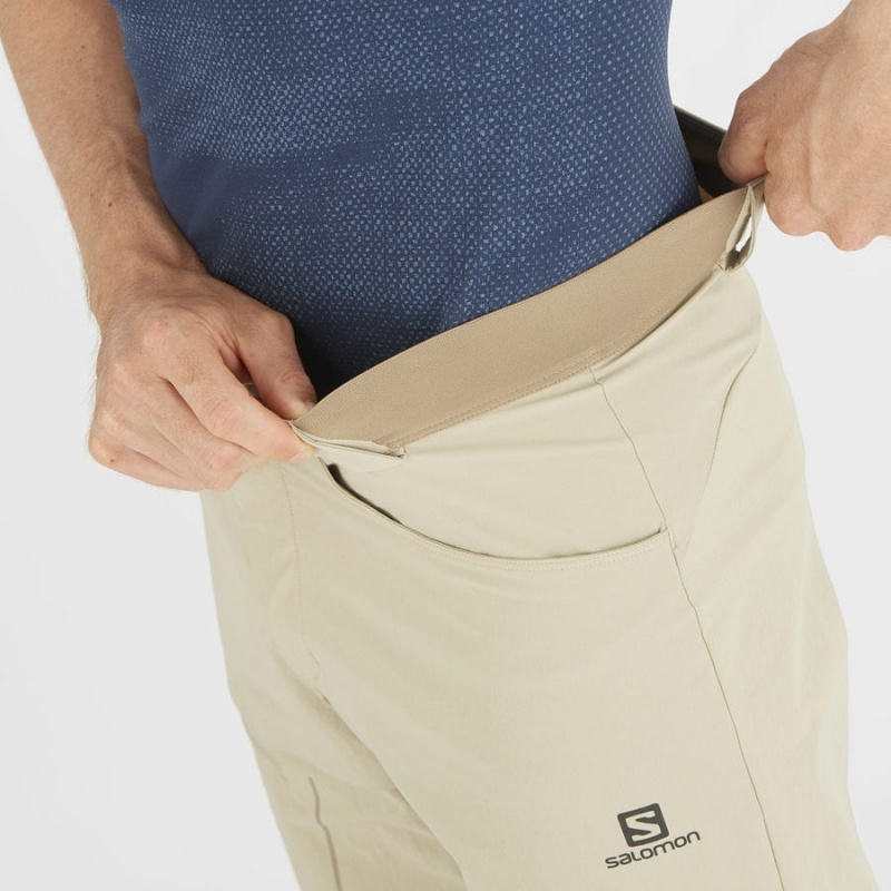 Short Salomon WAYFARER Hombre Beige | UY 3147NWY