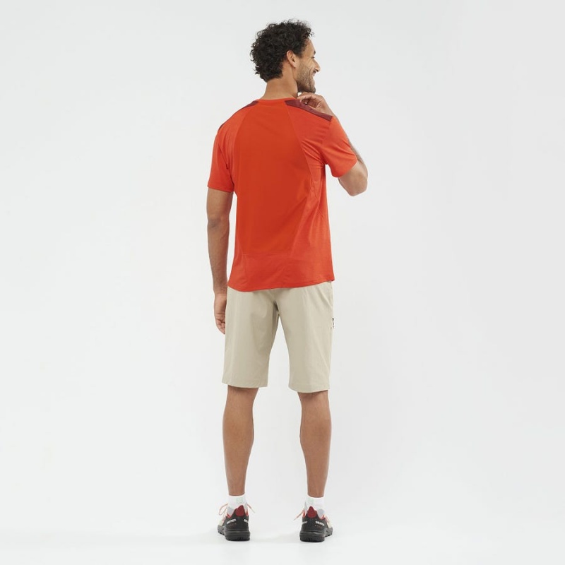 Short Salomon WAYFARER Hombre Beige | UY 3147NWY