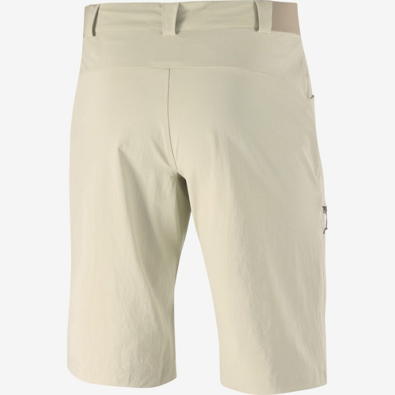 Short Salomon WAYFARER Hombre Beige | UY 3147NWY