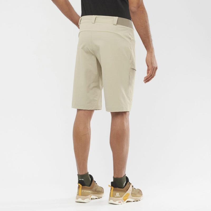 Short Salomon WAYFARER Hombre Beige | UY 3147NWY