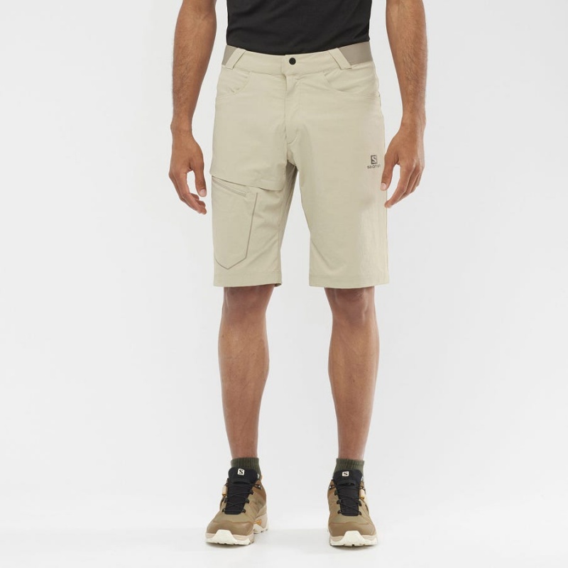 Short Salomon WAYFARER Hombre Beige | UY 3147NWY