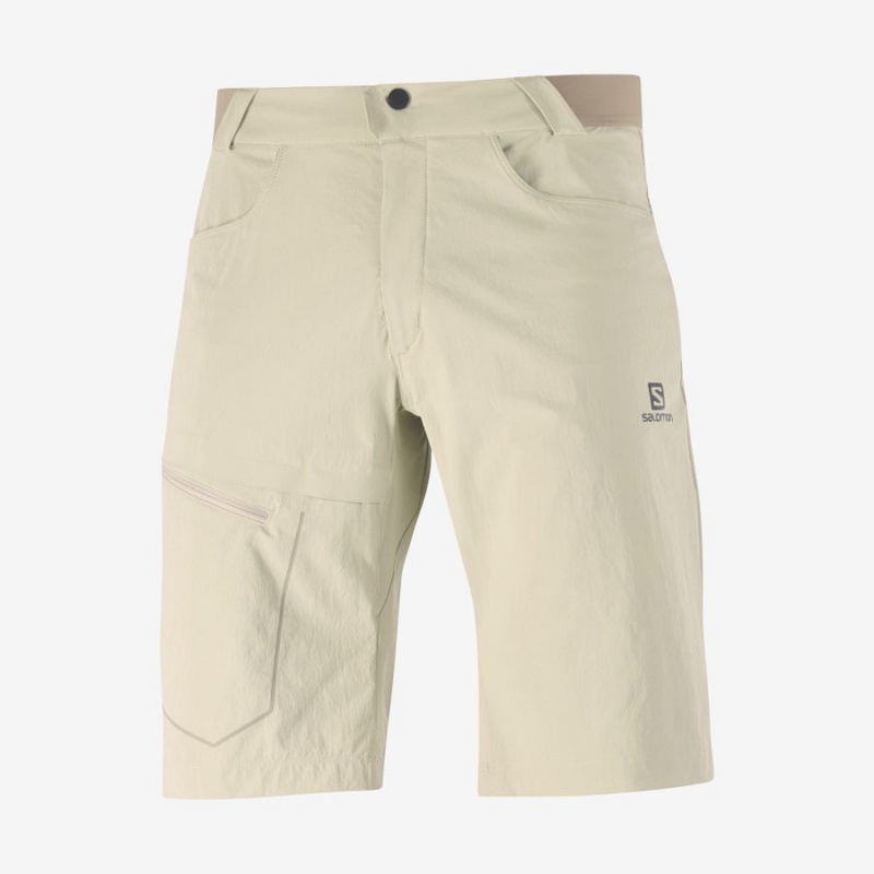 Short Salomon WAYFARER Hombre Beige | UY 3147NWY